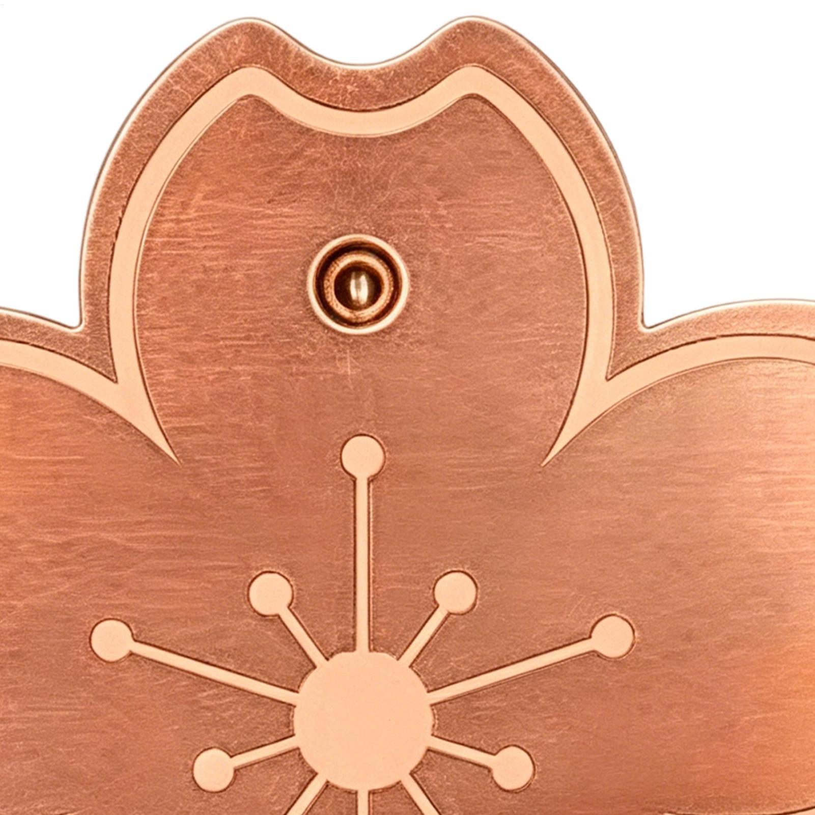 Watch Es - Placa de Cobre para Banho de